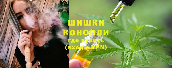 спайс Вяземский